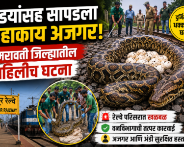g9 maharashtra news