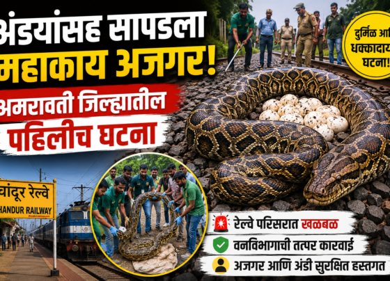 g9 maharashtra news