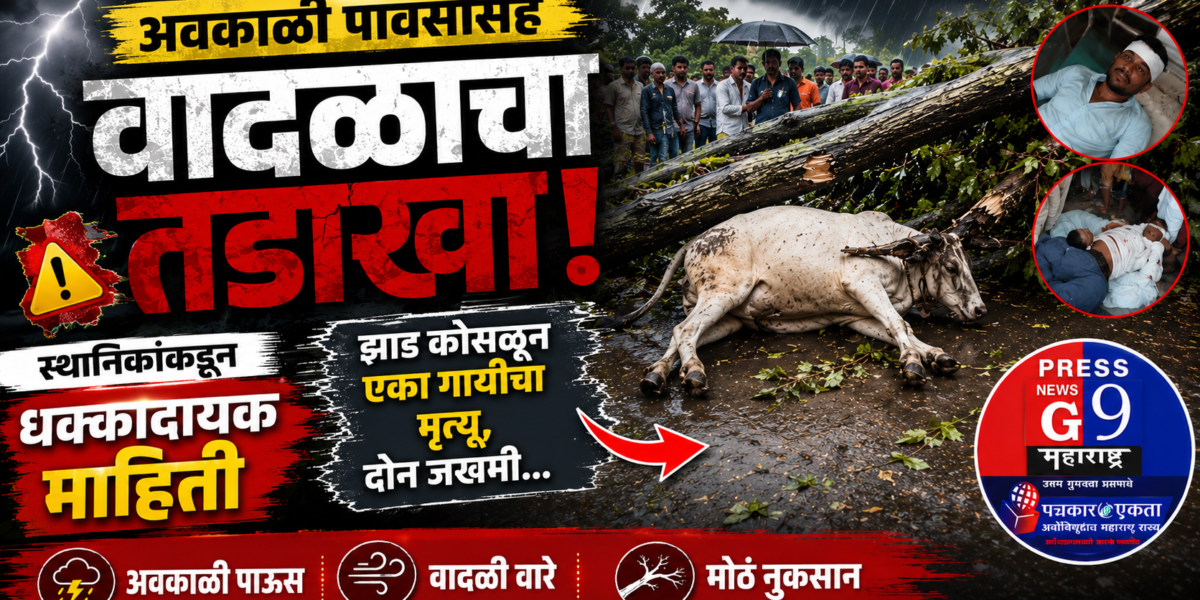 अवकाळी पावसाचा कहर! झाड कोसळून गायीचा मृत्यू, दोन जण गंभीर जखमी