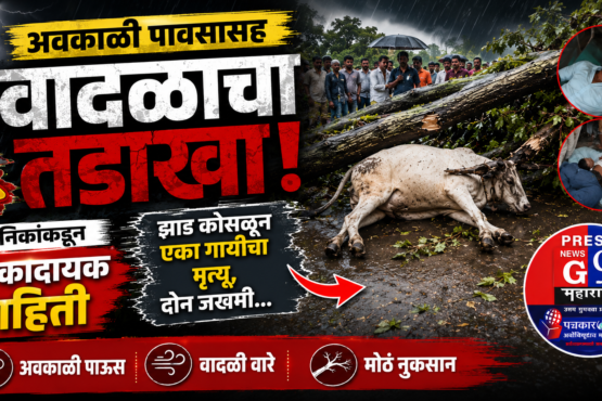 अवकाळी पावसाचा कहर! झाड कोसळून गायीचा मृत्यू, दोन जण गंभीर जखमी