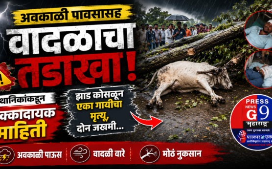 अवकाळी पावसाचा कहर! झाड कोसळून गायीचा मृत्यू, दोन जण गंभीर जखमी