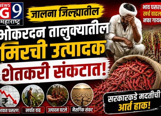 जालना: मिरची उत्पादक शेतकऱ्यांची बिकट अवस्था | G9 महाराष्ट्र
