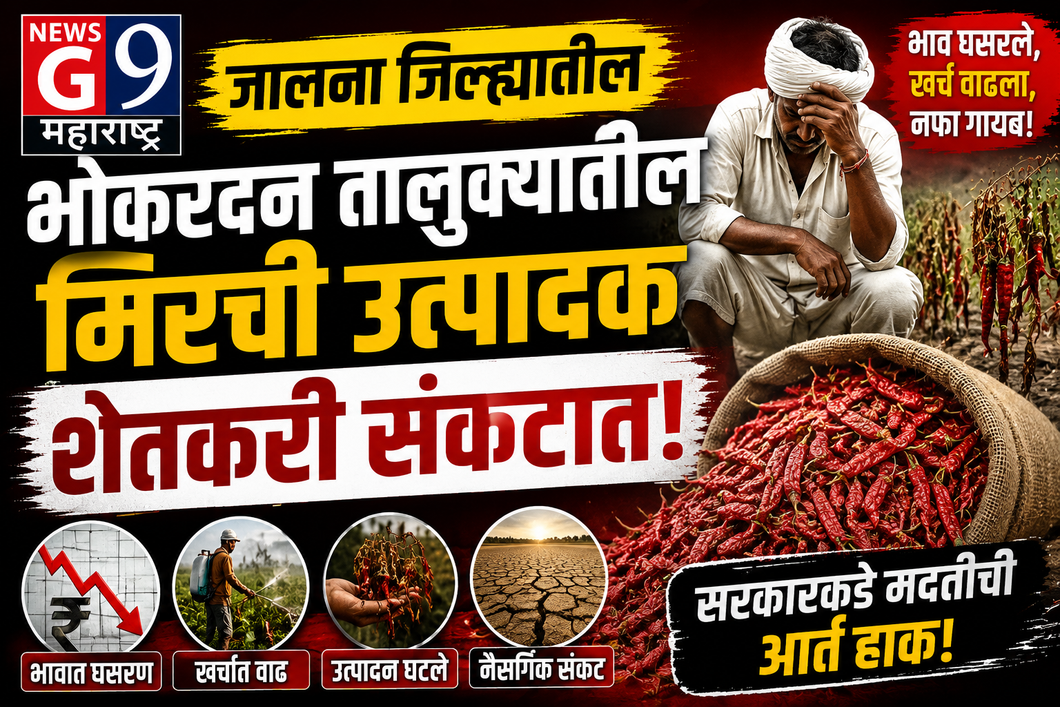 जालना: मिरची उत्पादक शेतकऱ्यांची बिकट अवस्था | G9 महाराष्ट्र