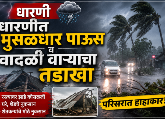 धारणीत मुसळधार पाऊस व वादळी वाऱ्याचा तडाखा | झाडे उन्मळून पडली, जनजीवन विस्कळीत | Breaking News