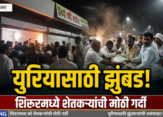 शिरूरमध्ये युरियासाठी शेतकऱ्यांची झुंबड! खत टंचाईने शेतकरी संतप्त