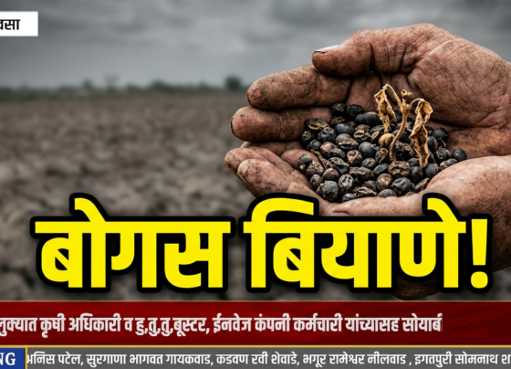तिवसा तालुक्यात बोगस सोयाबीन बियाण्यांचा फटका! शेतकऱ्यांचे लाखोंचे नुकसान, कारवाईची मागणी