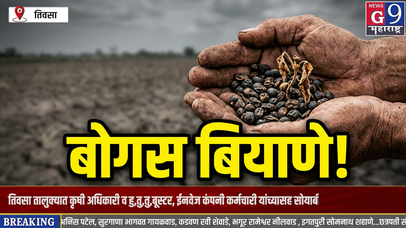 तिवसा तालुक्यात बोगस सोयाबीन बियाण्यांचा फटका! शेतकऱ्यांचे लाखोंचे नुकसान, कारवाईची मागणी