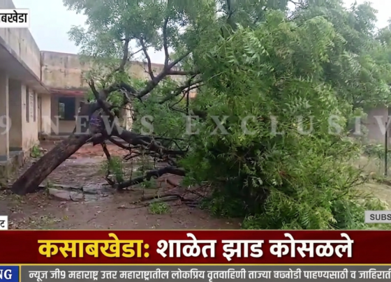 Breaking News | कसाबखेडा ZP शाळेत अचानक लिंबाचे झाड कोसळले, मोठी दुर्घटना टळली