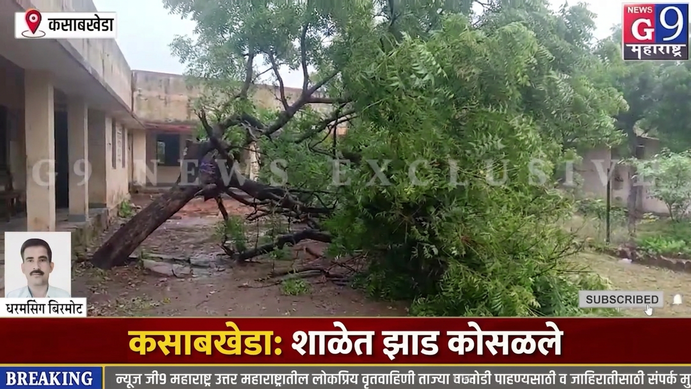 Breaking News | कसाबखेडा ZP शाळेत अचानक लिंबाचे झाड कोसळले, मोठी दुर्घटना टळली