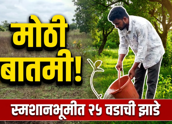 Breaking News | जामठीत वृक्षसंवर्धनाचा आदर्श; विघ्नहर्ता ग्रुपचा कौतुकास्पद उपक्रम