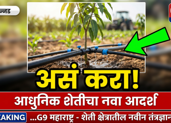 Breaking News | लोहगावचे उपसरपंच शिवाजी पाटील मनगटे यांचा पर्यावरण संवर्धनाचा संदेश