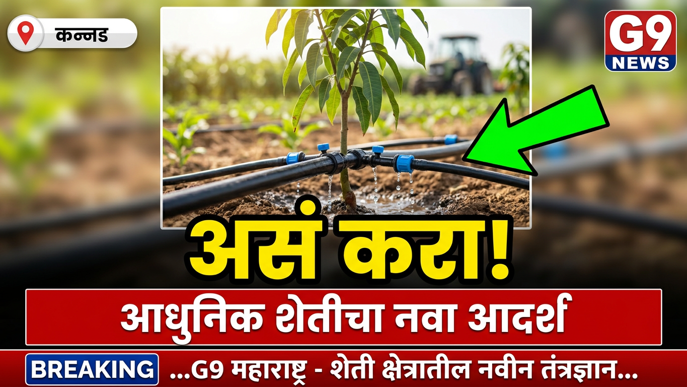 Breaking News | लोहगावचे उपसरपंच शिवाजी पाटील मनगटे यांचा पर्यावरण संवर्धनाचा संदेश