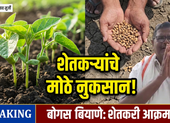 अंजनगाव सुर्जीत शेतकऱ्यांचा संताप! बूस्टर आणि ओसवालचे सोयाबीन बियाणे उगवलेच नाही, नुकसानभरपाईची जोरदार मागणी