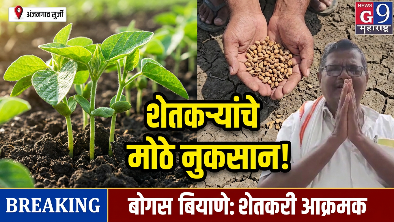अंजनगाव सुर्जीत शेतकऱ्यांचा संताप! बूस्टर आणि ओसवालचे सोयाबीन बियाणे उगवलेच नाही, नुकसानभरपाईची जोरदार मागणी