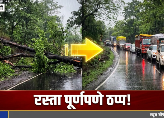 Breaking News | परतवाडा–धारणी मार्गावर झाड कोसळले; प्रशासनाच्या तत्परतेने वाहतूक पूर्ववत