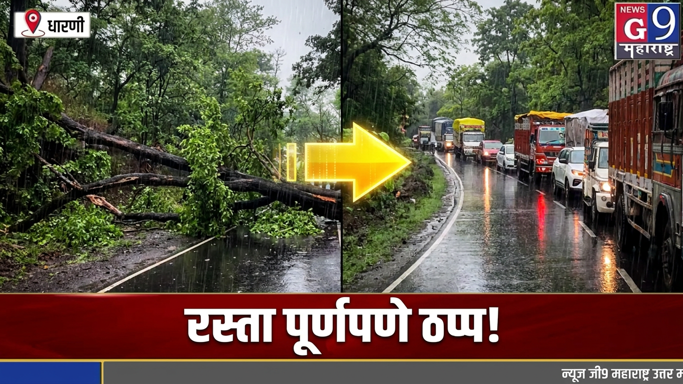 Breaking News | परतवाडा–धारणी मार्गावर झाड कोसळले; प्रशासनाच्या तत्परतेने वाहतूक पूर्ववत