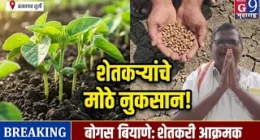 सोयाबीन बियाण्यांचा मोठा फज्जा! शेतकरी रस्त्यावर, नुकसानभरपाईची मागणी