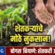सोयाबीन बियाण्यांचा मोठा फज्जा! शेतकरी रस्त्यावर, नुकसानभरपाईची मागणी